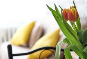 Adelaide rubbish junk removal handiload