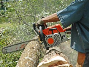 Adelaide rubbish junk removal handiload